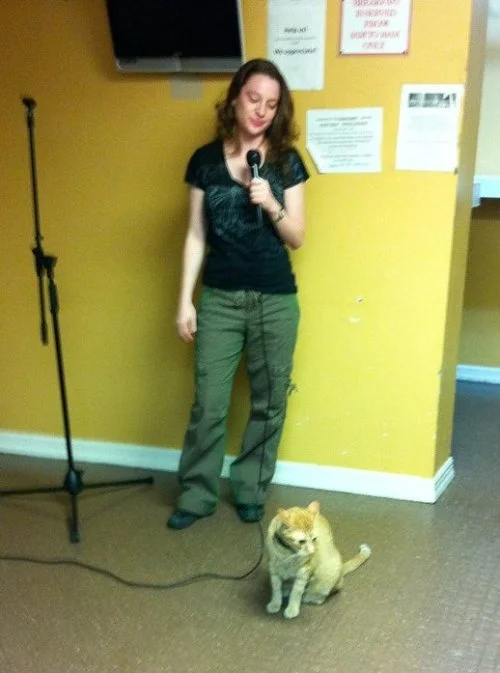   I've shared a stage with a cat at the Chelsea Hostel in NYC.  