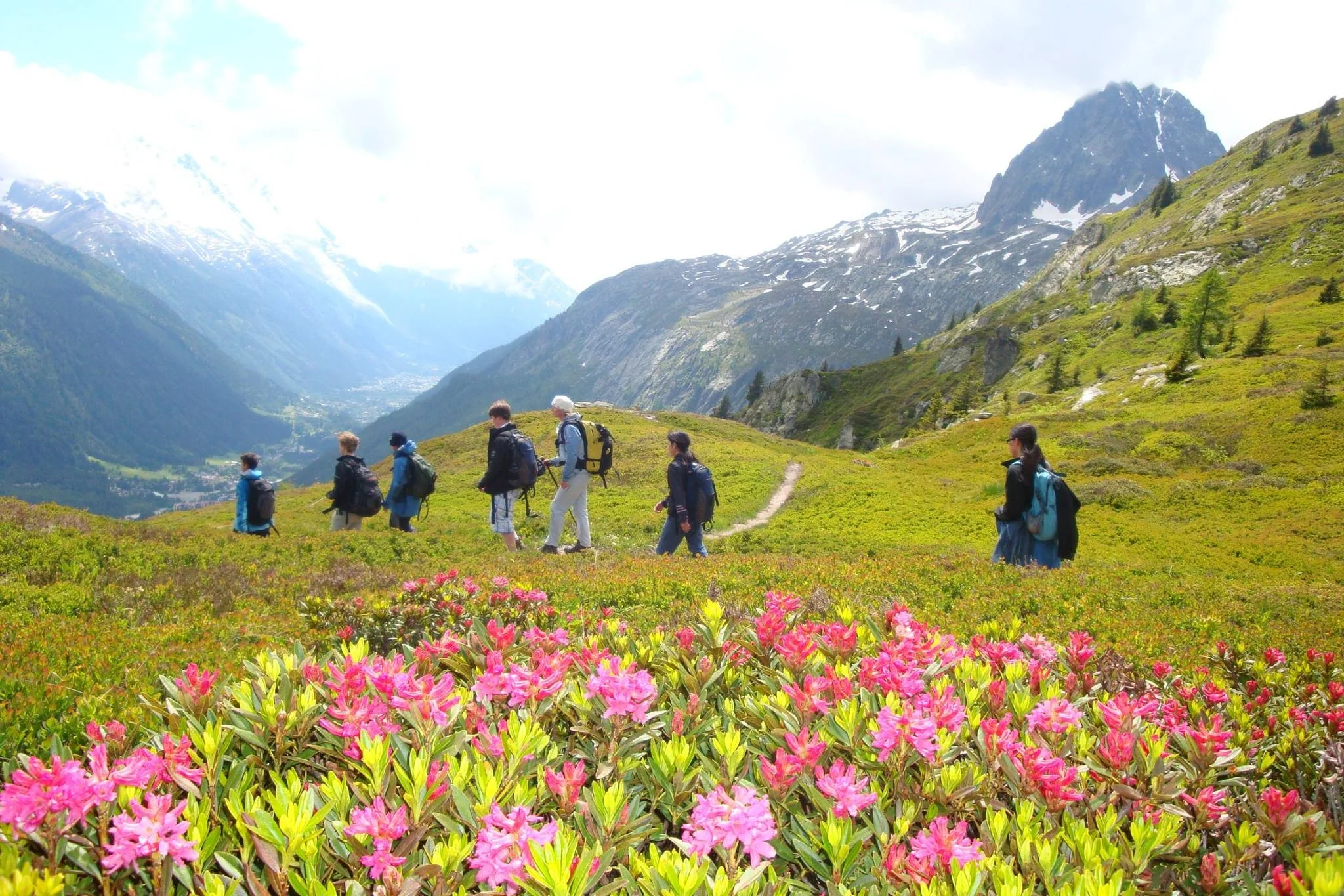 Summer Hiking in Switz.jpg