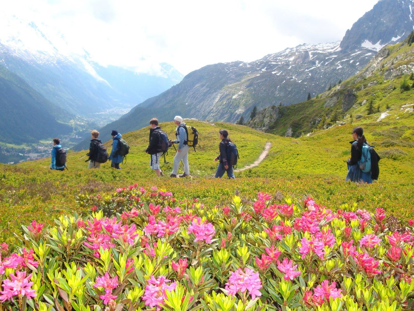 Summer+Hiking+in+Switz.jpg