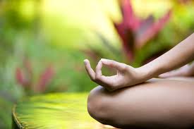 cross legged with greenery.jpg