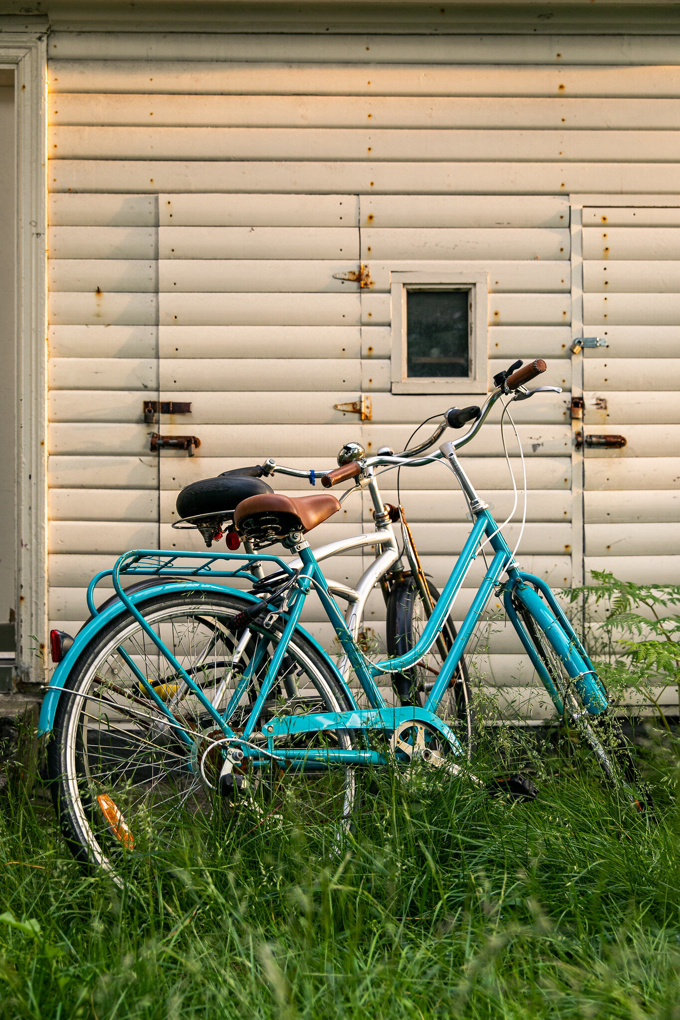 Untitled from Icelandic Bicycle Series