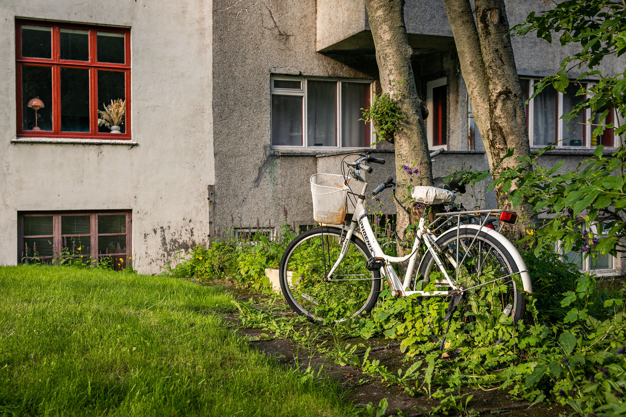 Untitled from Icelandic Bicycle Series