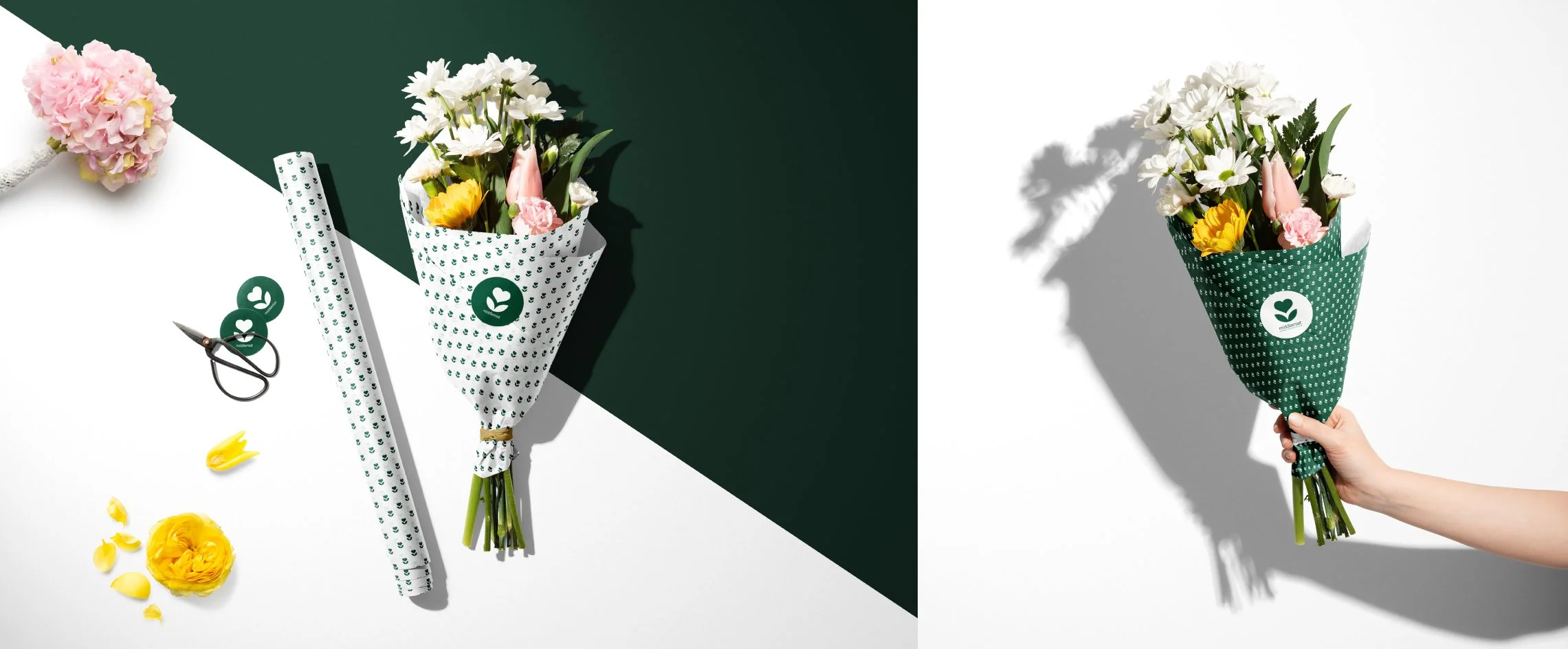 Middlemist_flowers_2x.jpg