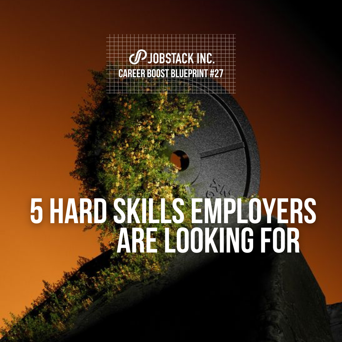 5 Hard Skills Employers Are Looking For