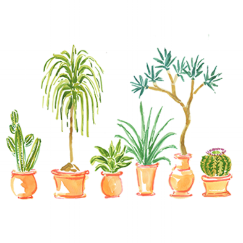 desertplants_350.png