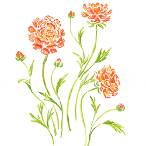 orangeflowers_350.png