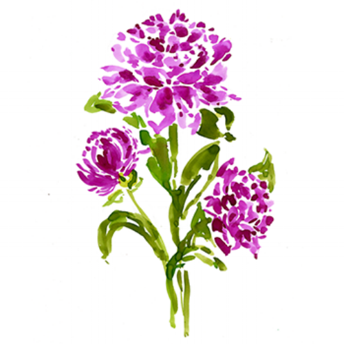 pinbkblooms_350.png