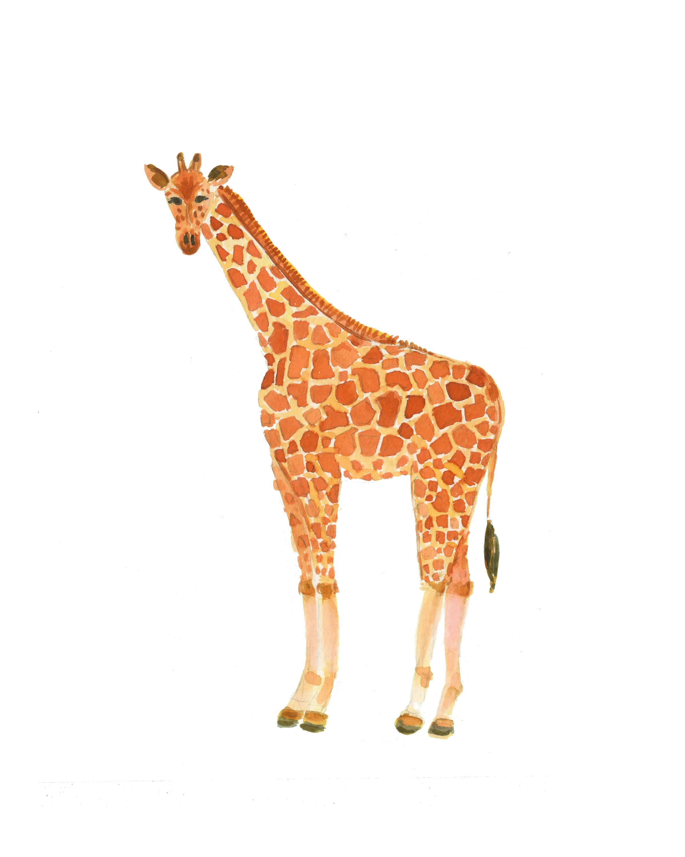 Giraffe_300dpi.jpg
