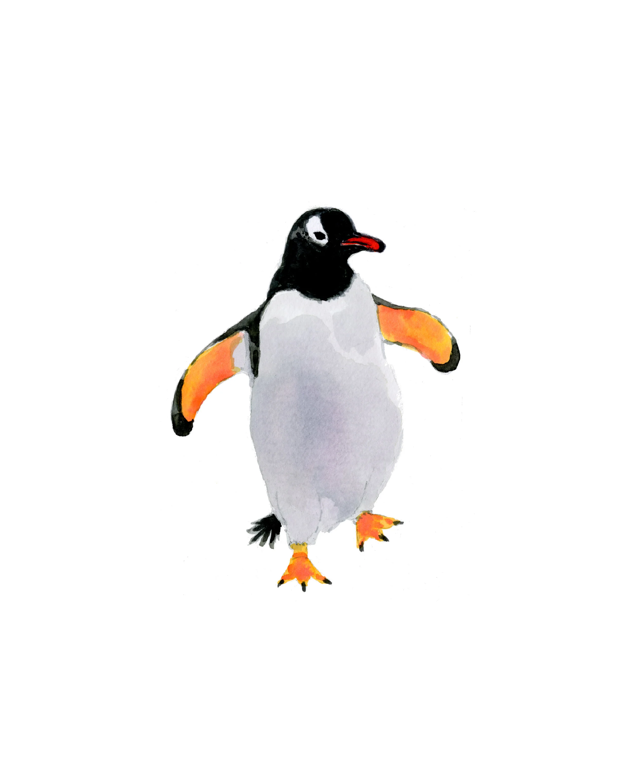Penguin_300dpi_v2.jpg