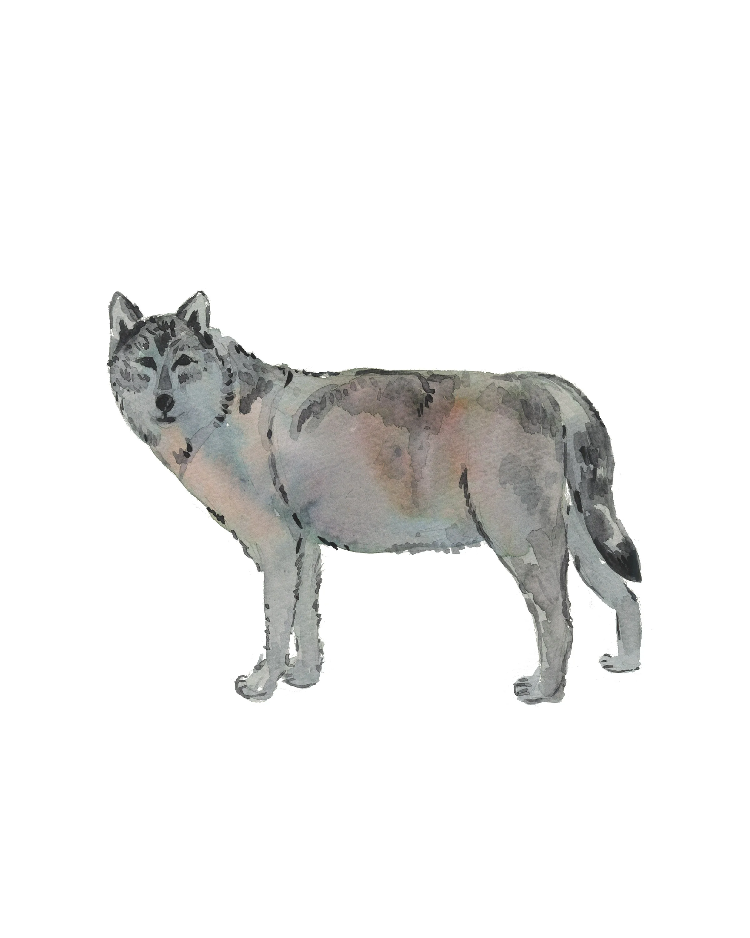 Wolf_30units.jpg