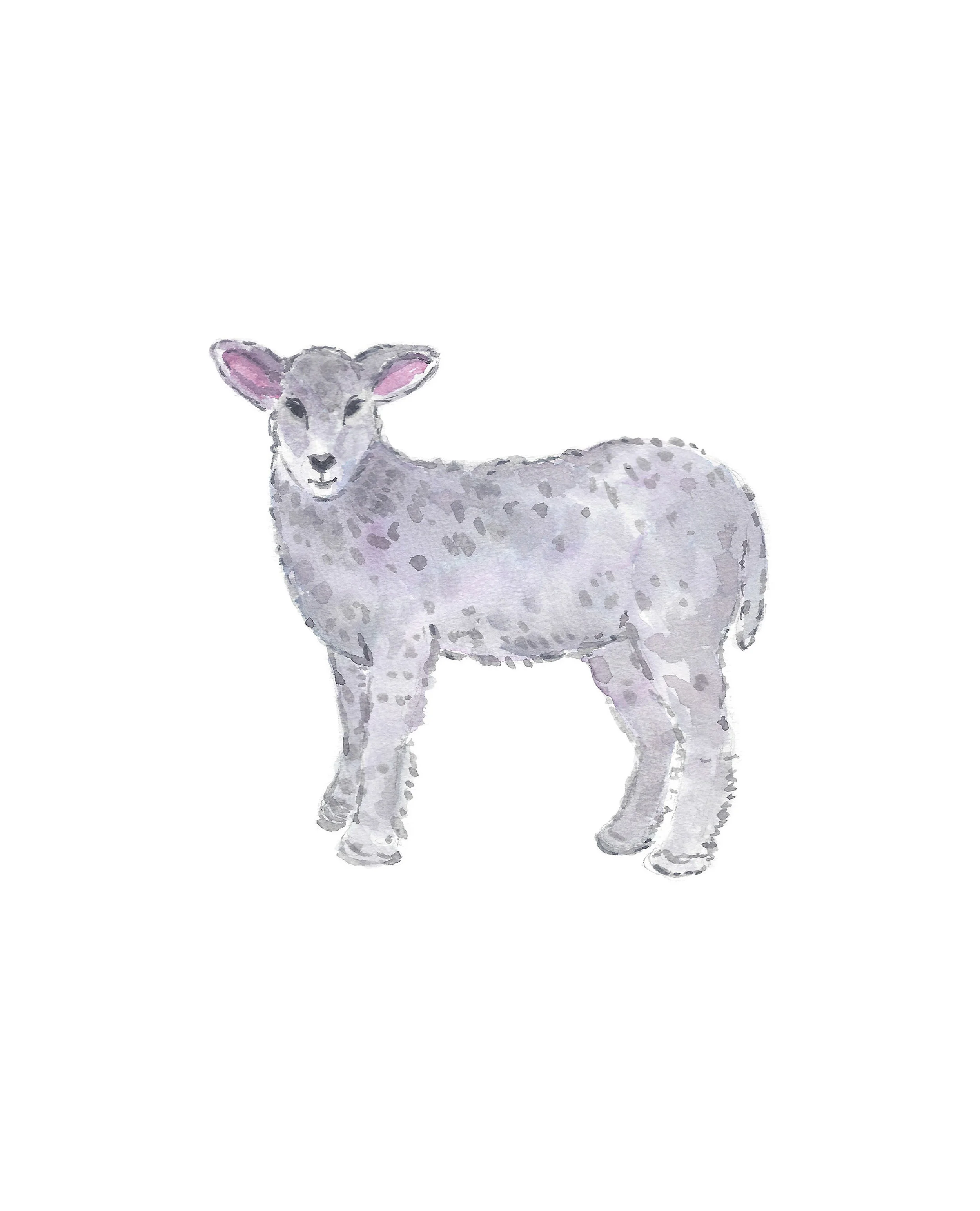 Lamb_8x10.jpg