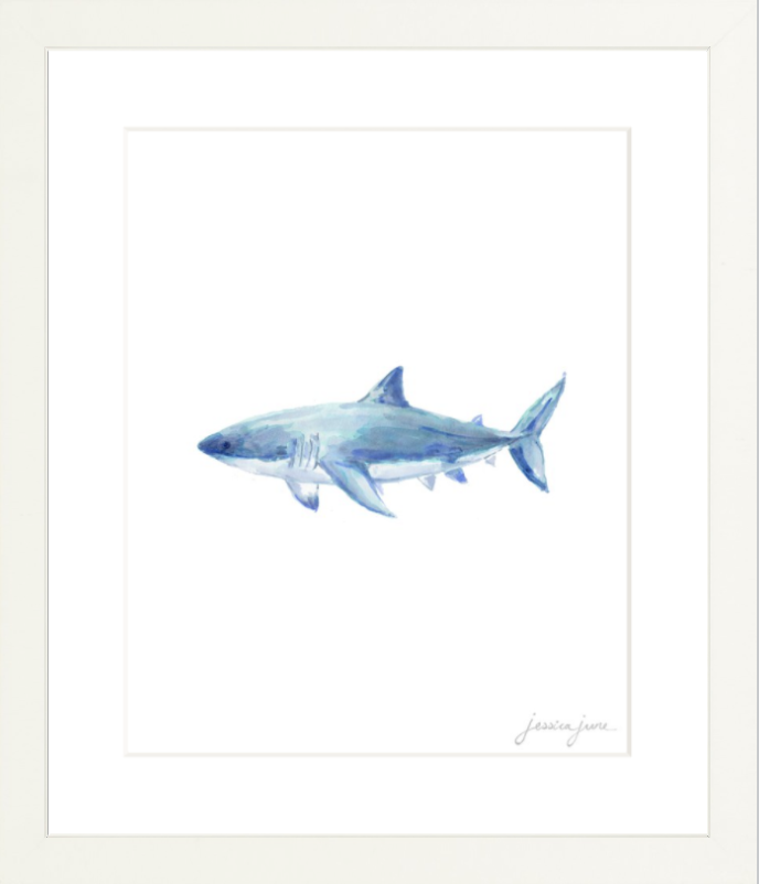 shark.png
