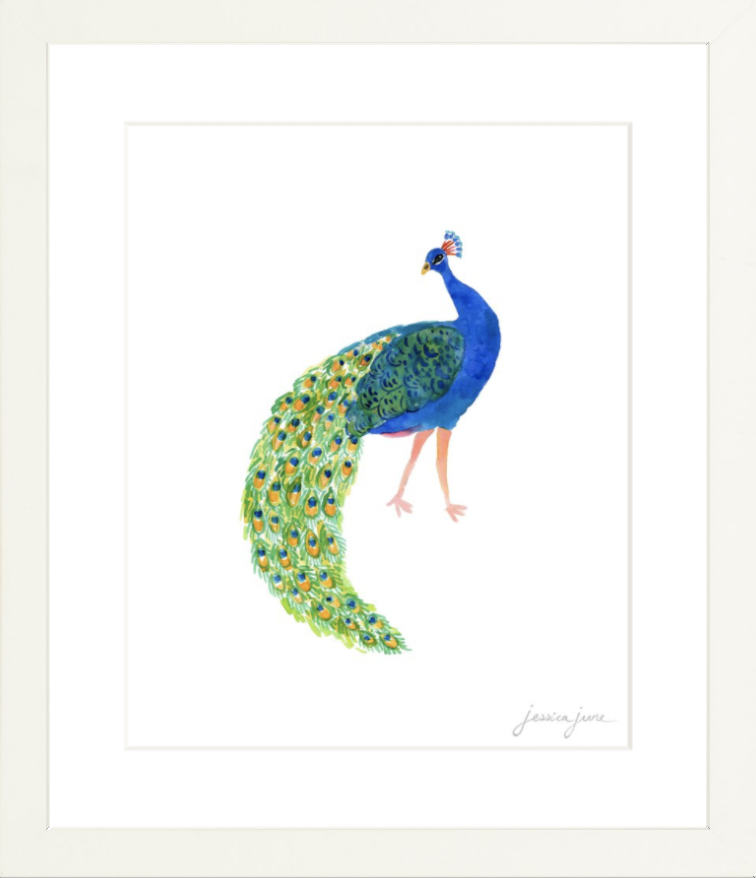 peacock.png