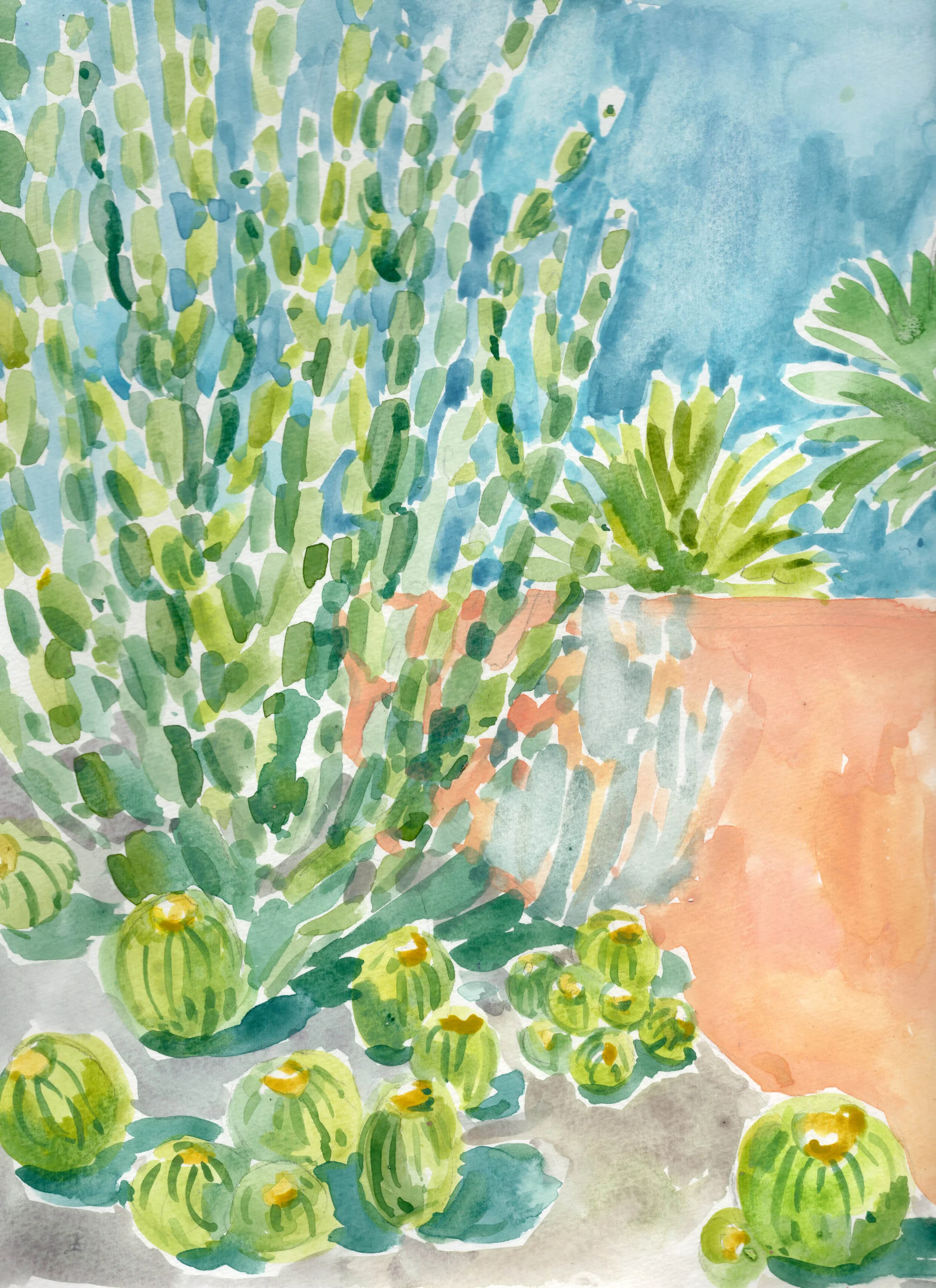 Cactus Entrance 9x12.jpg