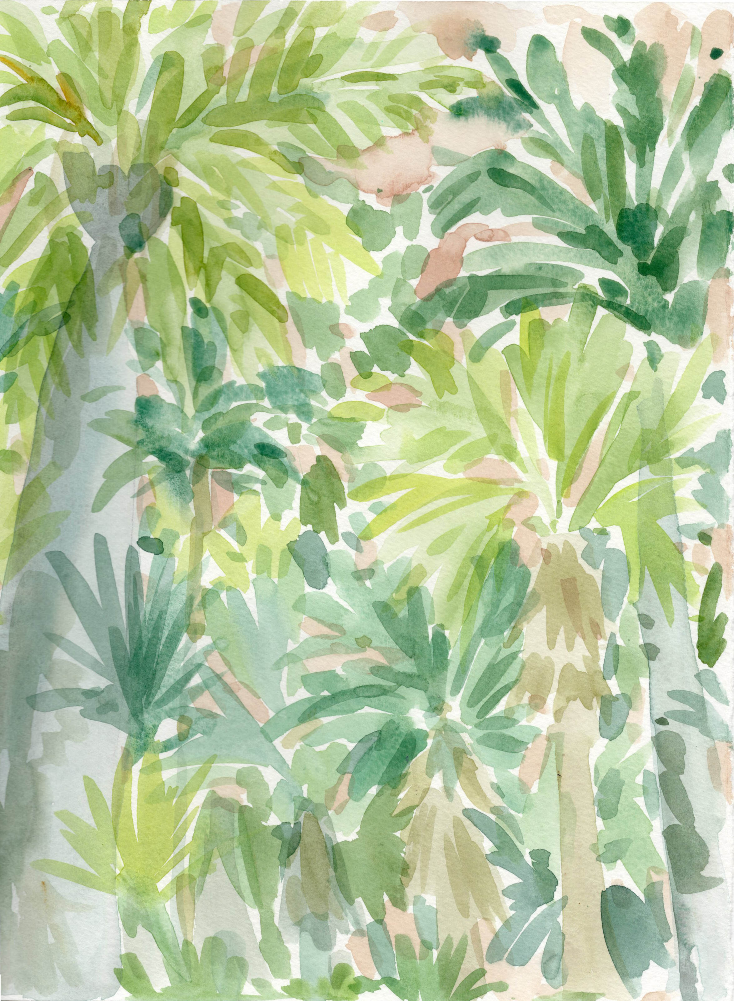 Tropical Garden 8x10.5.jpg