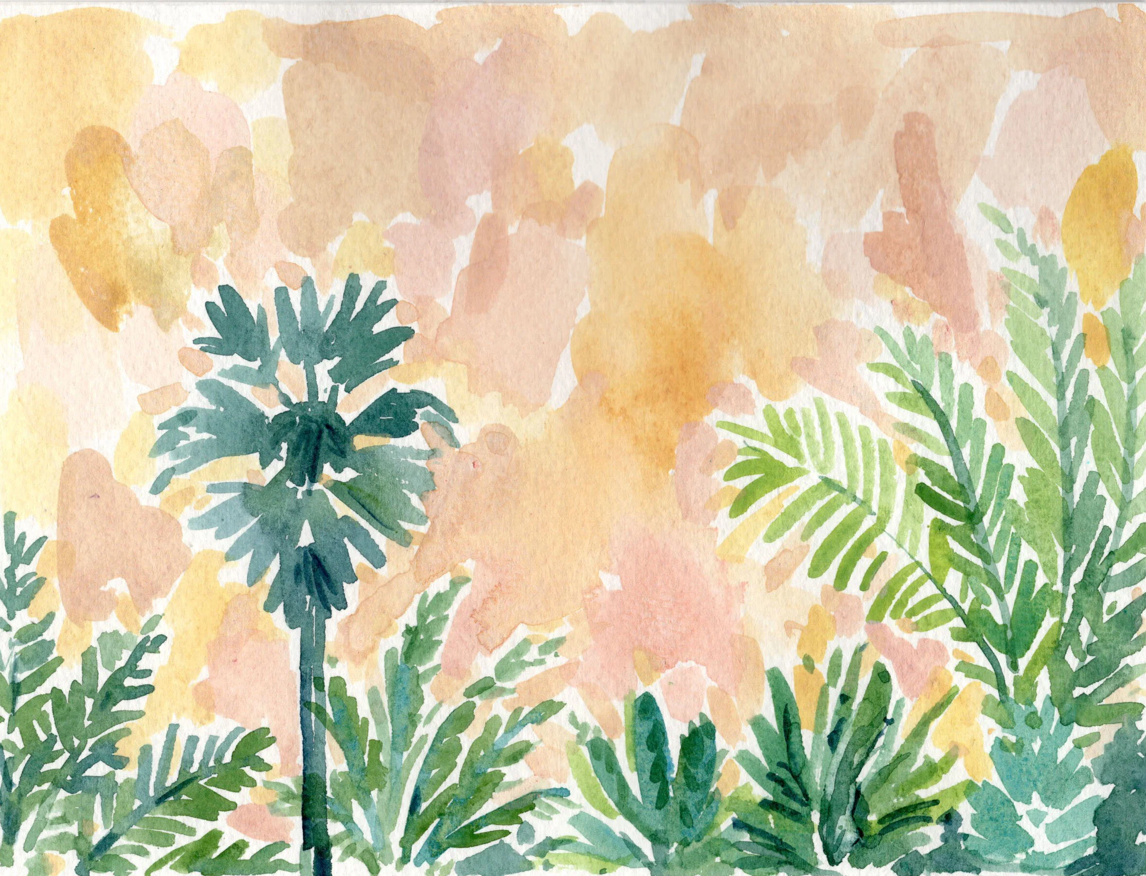 Cycad Garden 8x6.jpg
