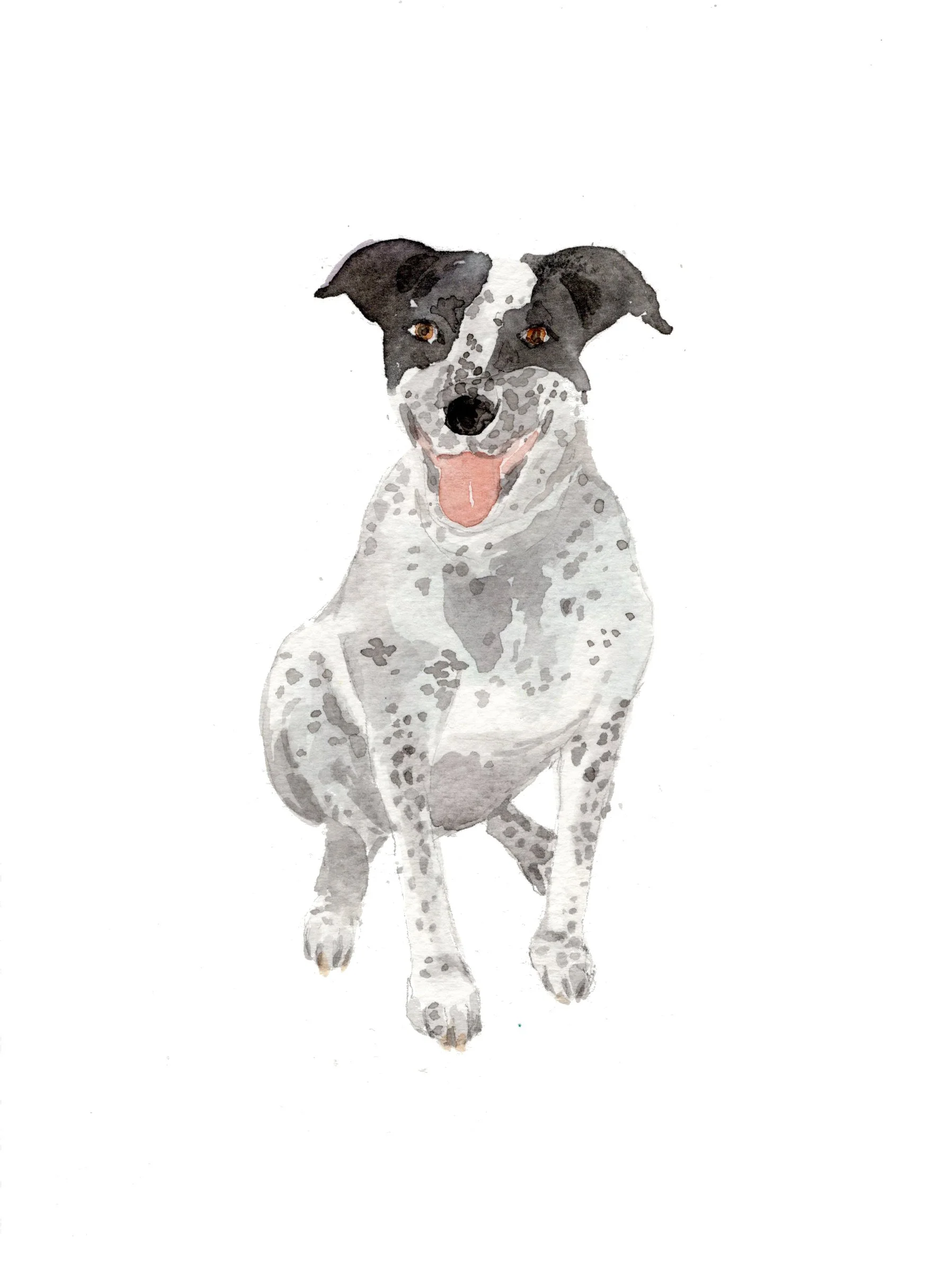 Luna_white background.jpg