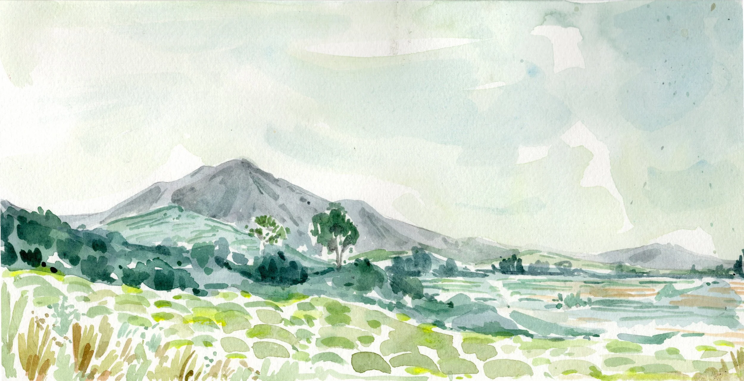Rincon 3 - 6 x 12.jpg