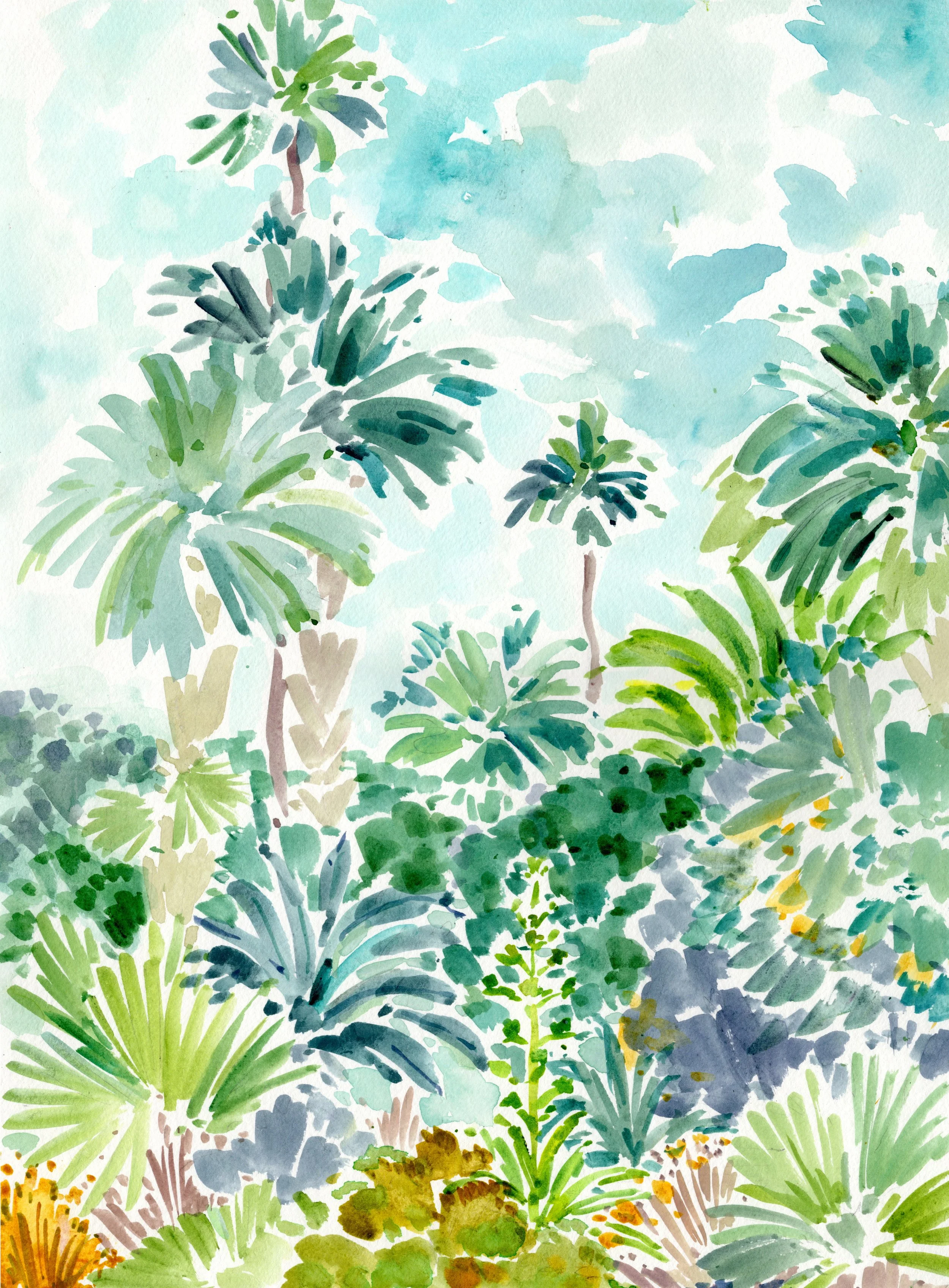 Parker Palm Springs 12 x 16.jpg