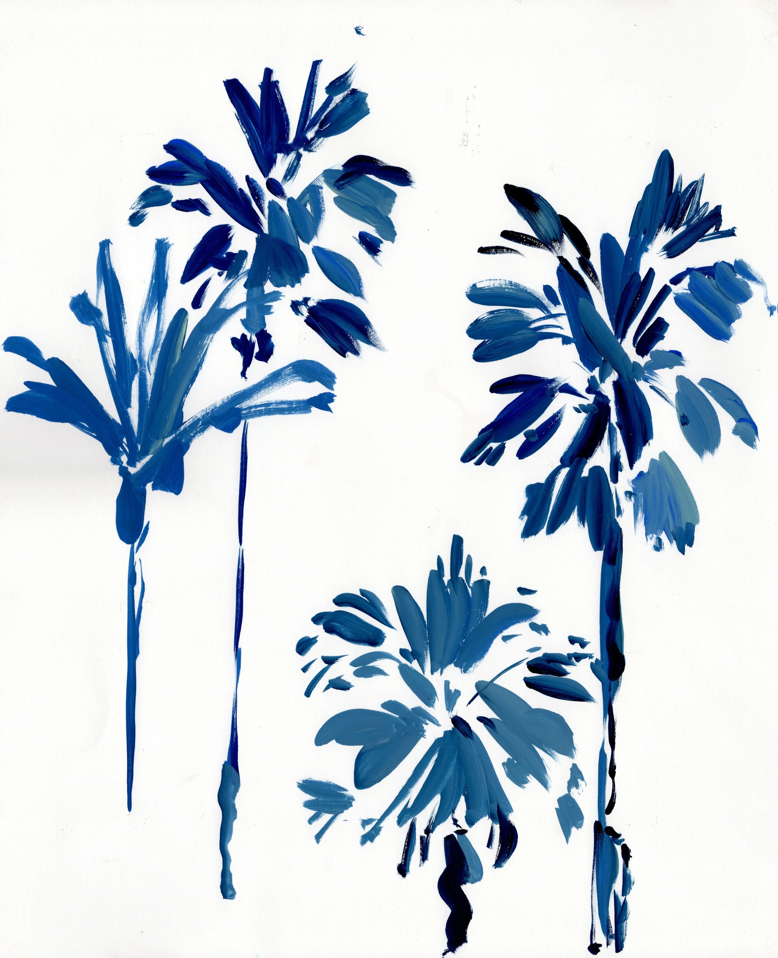 Blue Palms 2 - 14x17.jpg