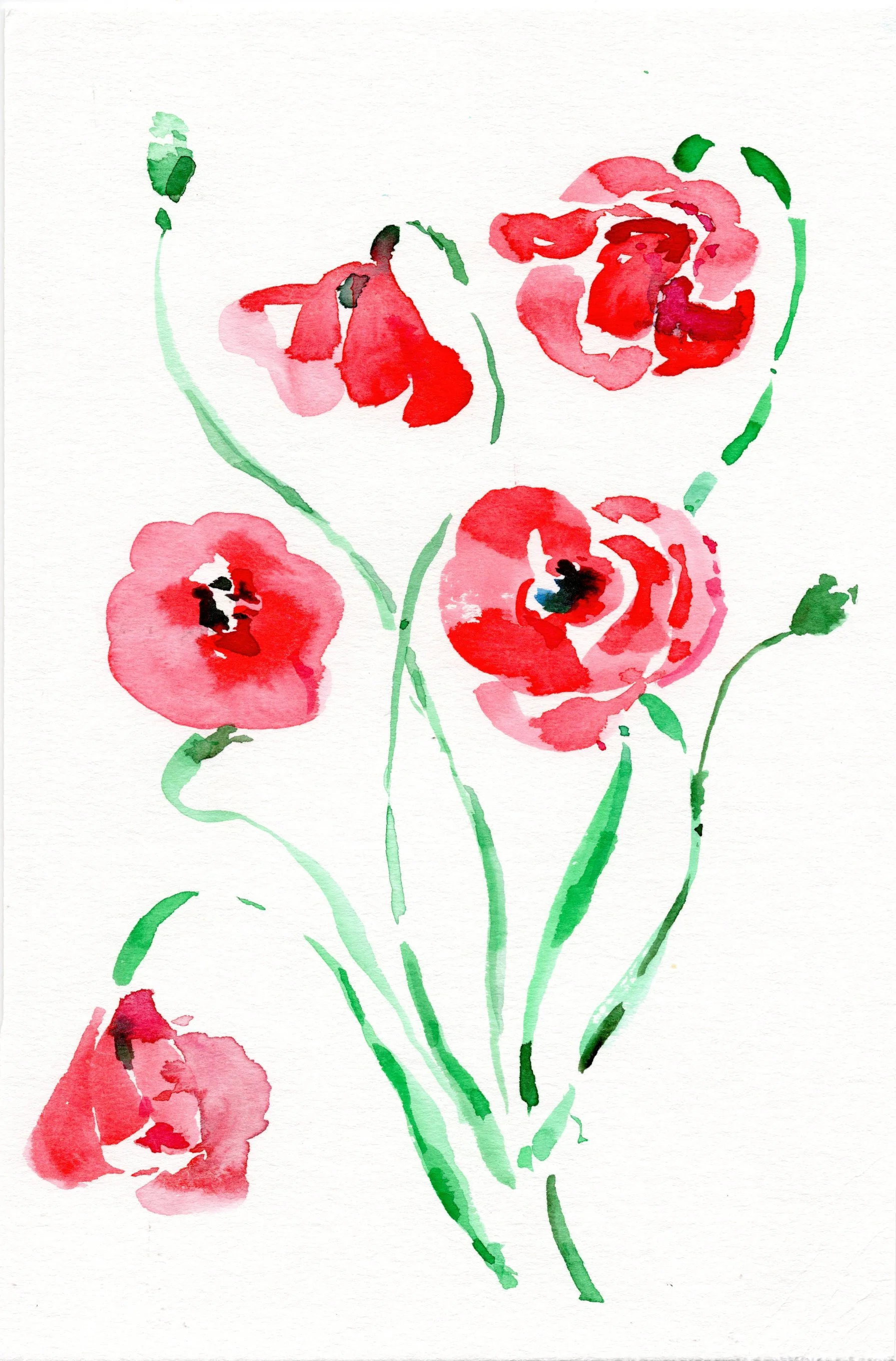 Red Poppy 2 6x9.jpg