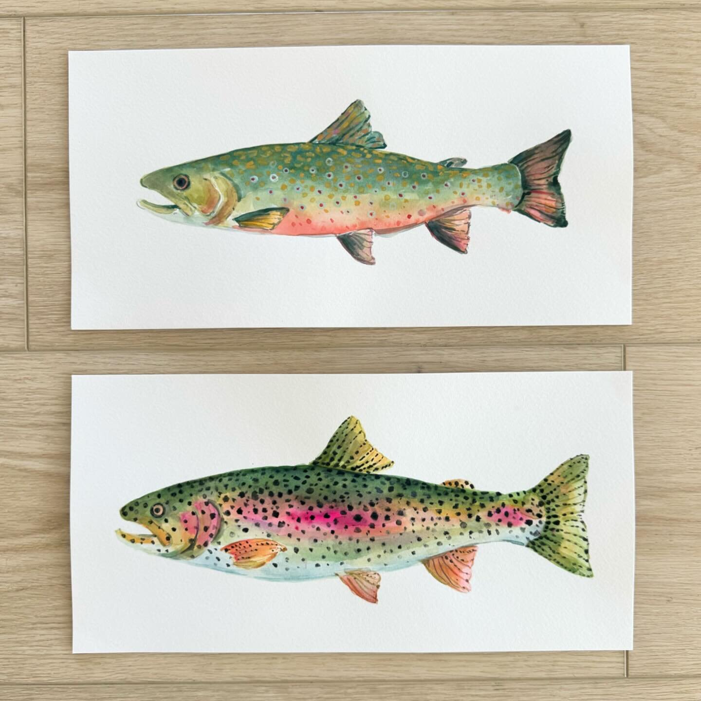 Celebrated the birthdays of two special guys in my life this weekend with paintings of their favorite things. 😆#brandonis40 #barronis3 #brooktrout #rainbowtrout