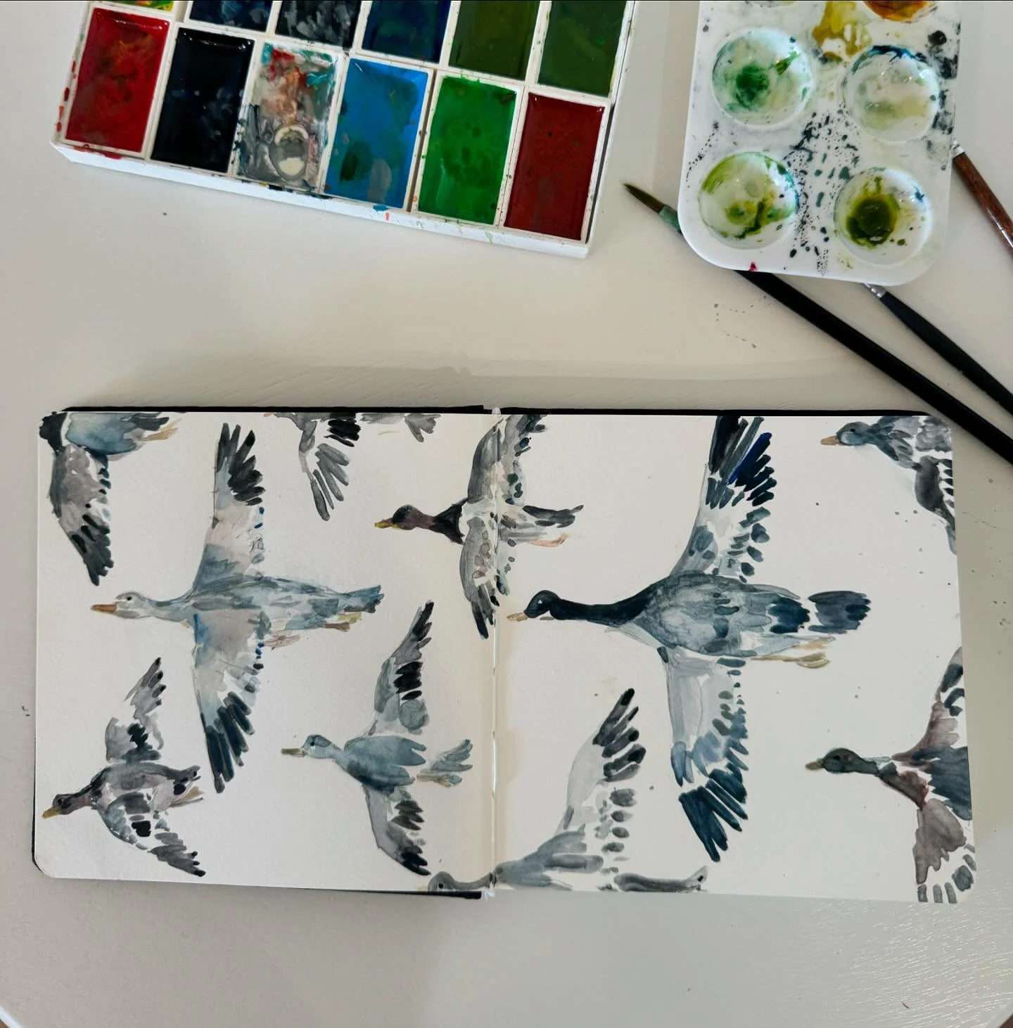 Summer sightings 🦆 #wisconsin #summersketchbook #watercolor