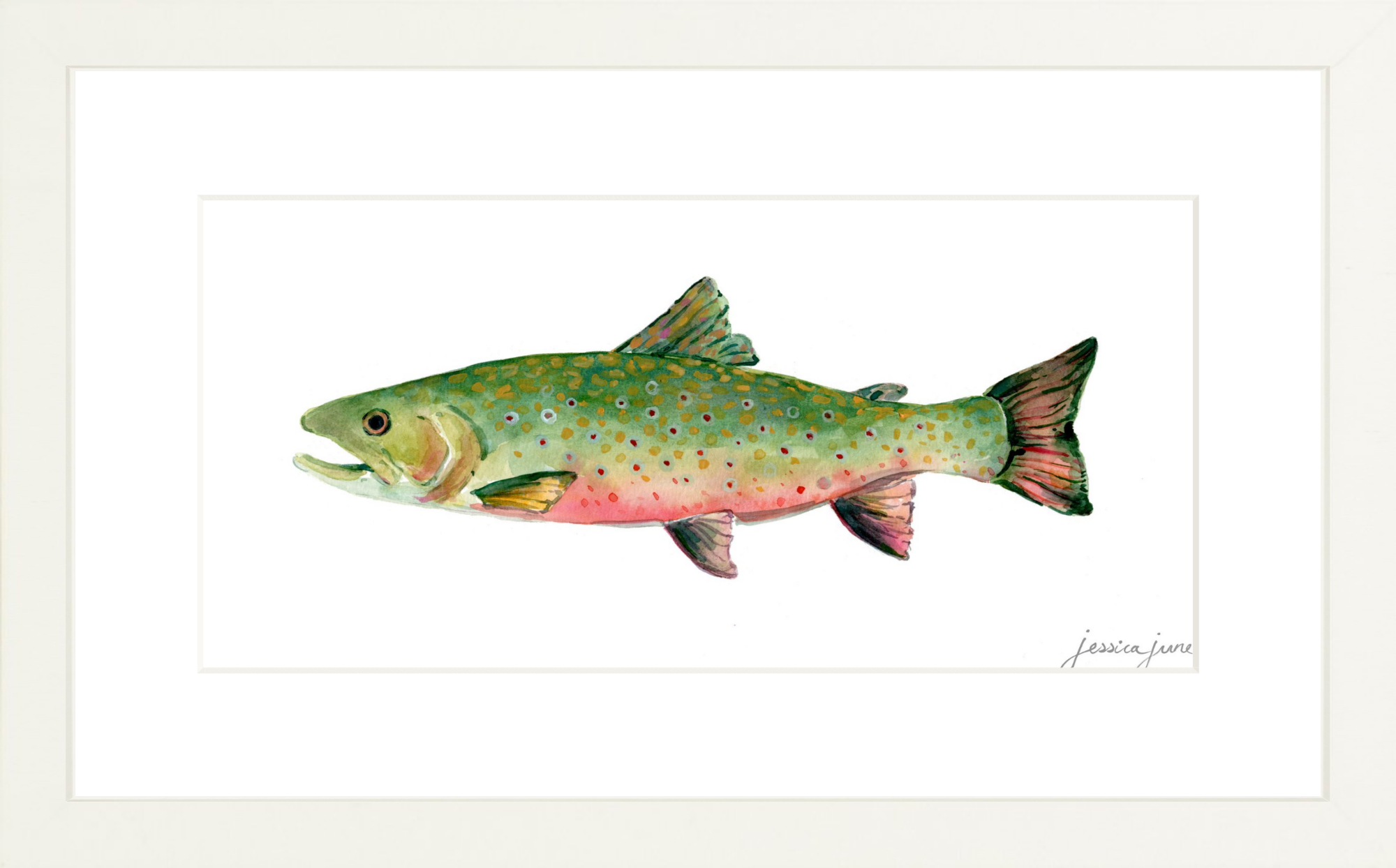 SF_FRgxwh_MSs_12x6_Brook Trout.png