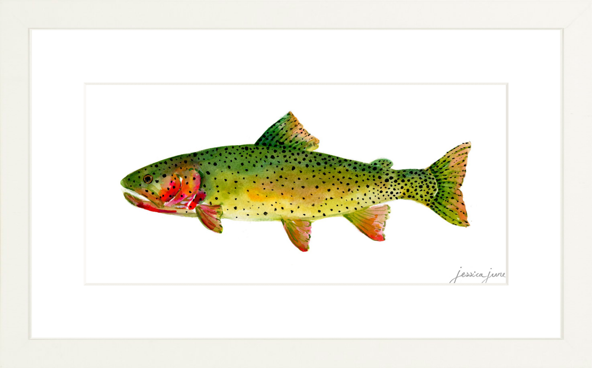SF_FRgxwh_MSs_12x6_Cutthroat Trout.png
