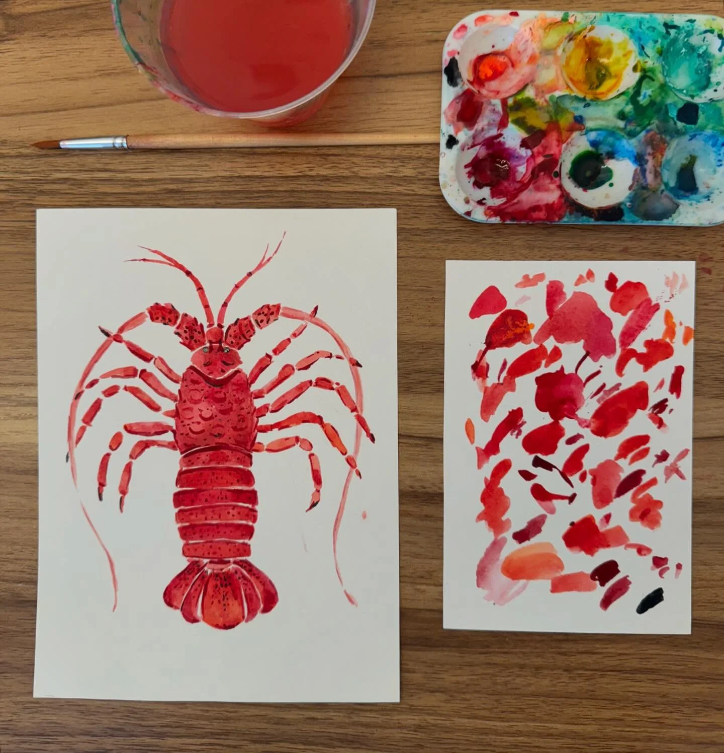 Lobster season in SB. #californiaspinylobster #santabarbara #805living