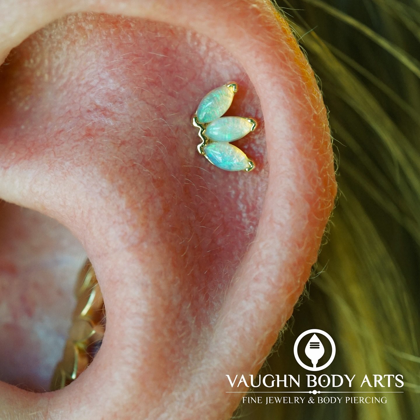 Here&rsquo;s a lovely helix and conch piercing we got to do for Cameron. 

They picked out a gorgeous marquise fan from BVLA made of solid yellow gold with genuine opals for their helix, and a yellow gold &ldquo;flat serenity&rdquo; for their conch.
