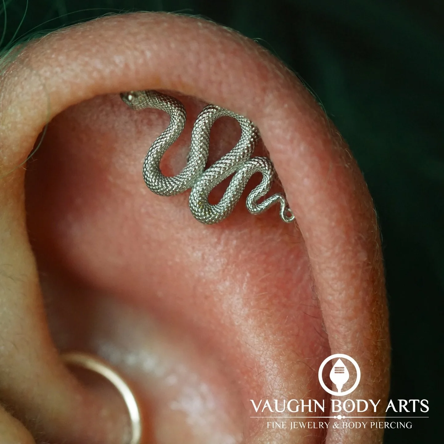We had the pleasure of doing this flat piercing for Taylor, and it turned out so good! 

Taylor picked out one of these awesome white gold snakes from Anatometal. We are so happy with how perfectly it flows with the shape of the ear. 

Thank you so m