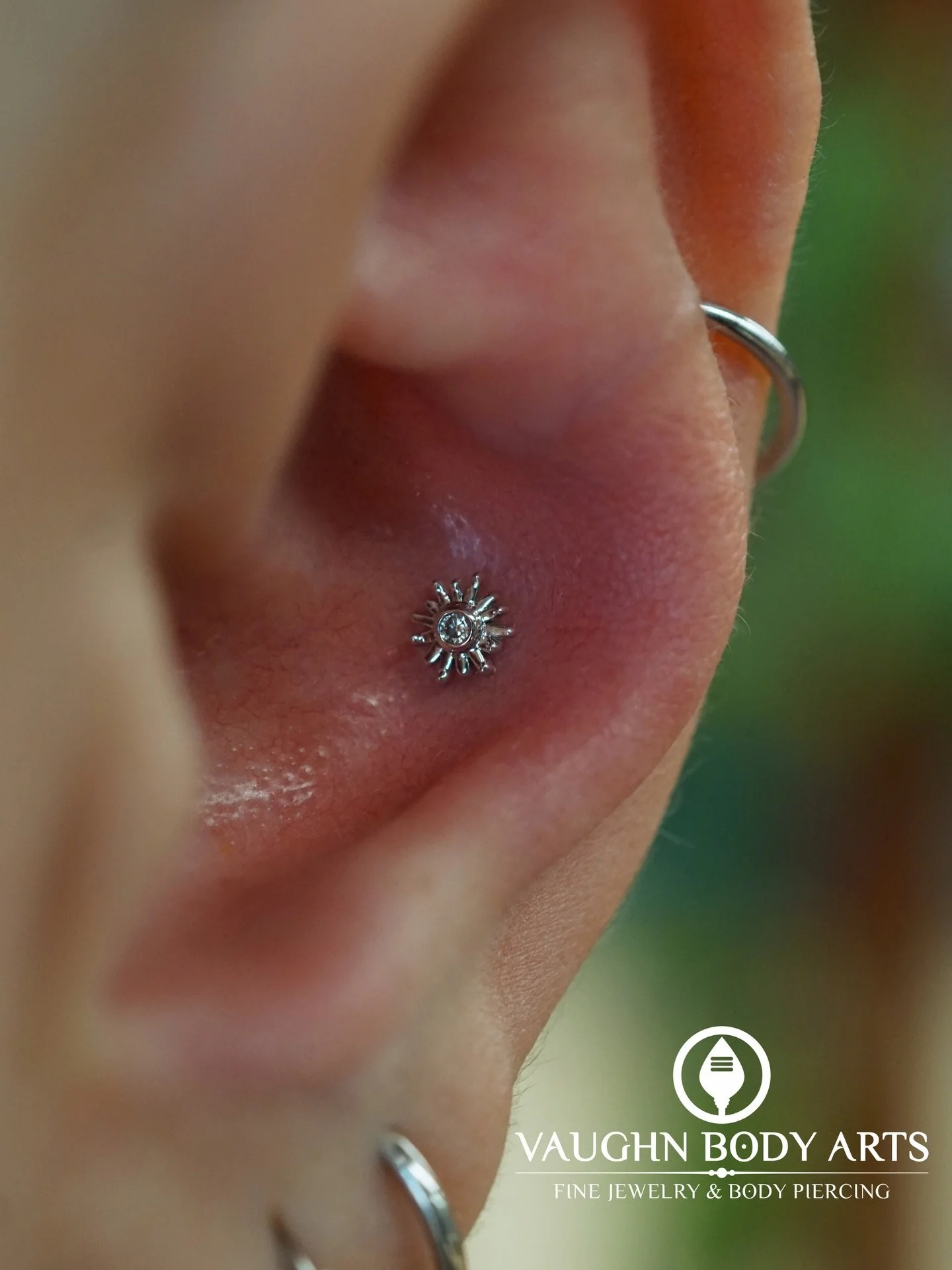 It has been nine years since we last pierced Leslie, so we were super excited to get to do this cute conch for her today. 

She picked out this lovely Sunray from BVLA. Solid White Gold with a Genuine Diamond. 

Thank you so much Leslie! 

#vaughnbod