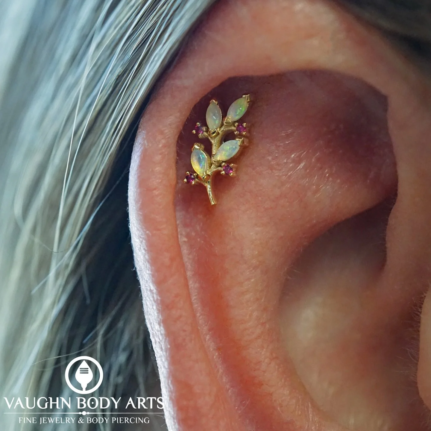 We have our talented friend @sandronifreak doing a guest spot here at Vaughn Body Arts. 

Here is a gorgeous helix piercing he got to do for Cynthia. She picked out one of our new &ldquo;Bittersweet&rdquo; ends from BVLA with genuine opals and rubies