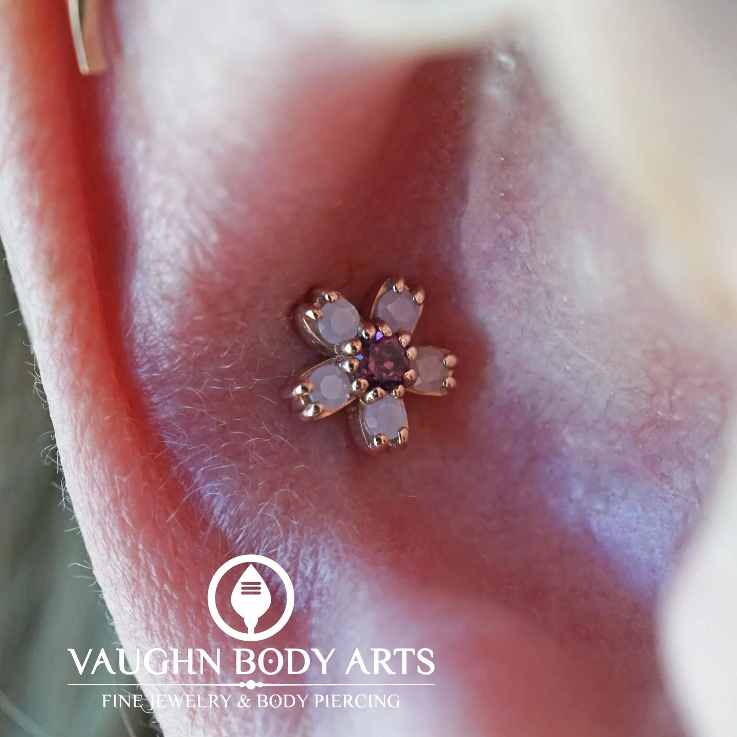 A lovely conch piercing we got to do for Tobi! 

They picked out this gorgeous Cherry Blossom from BVLA (one of our personal favorites). Solid Rose Gold with Opaque Pink and Genuine Rhodolite. 

Thank you Tobi! 

#vaughnbodyarts #bvlalove #bvla #mont