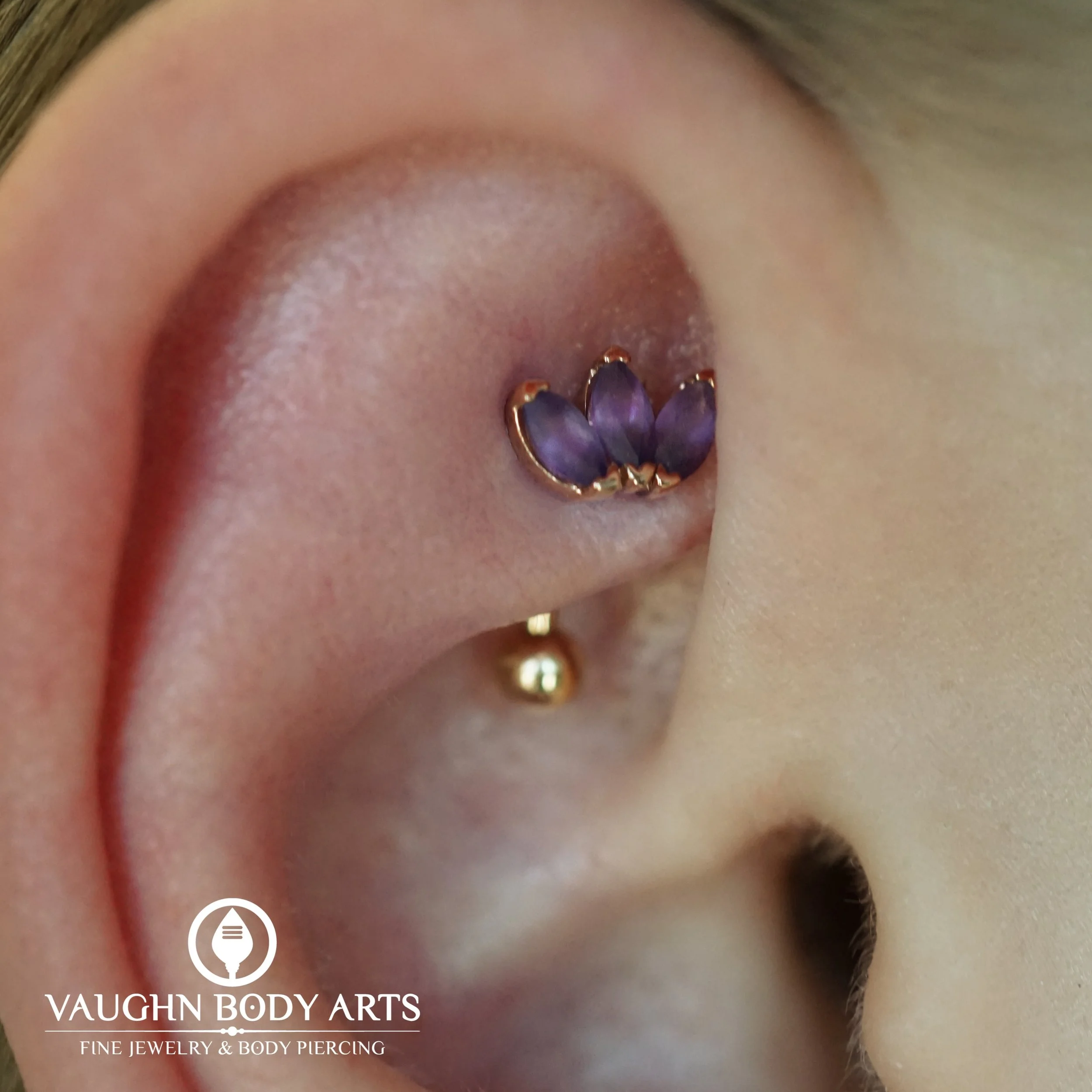 This beautiful ear belongs to Elizabeth. 

She came in recently and received a new rook piercing from Vaughn. 

She picked out this stunning design from BVLA.

The marquise fan is made of solid rose gold with sandblasted genuine amethysts. The shaft 