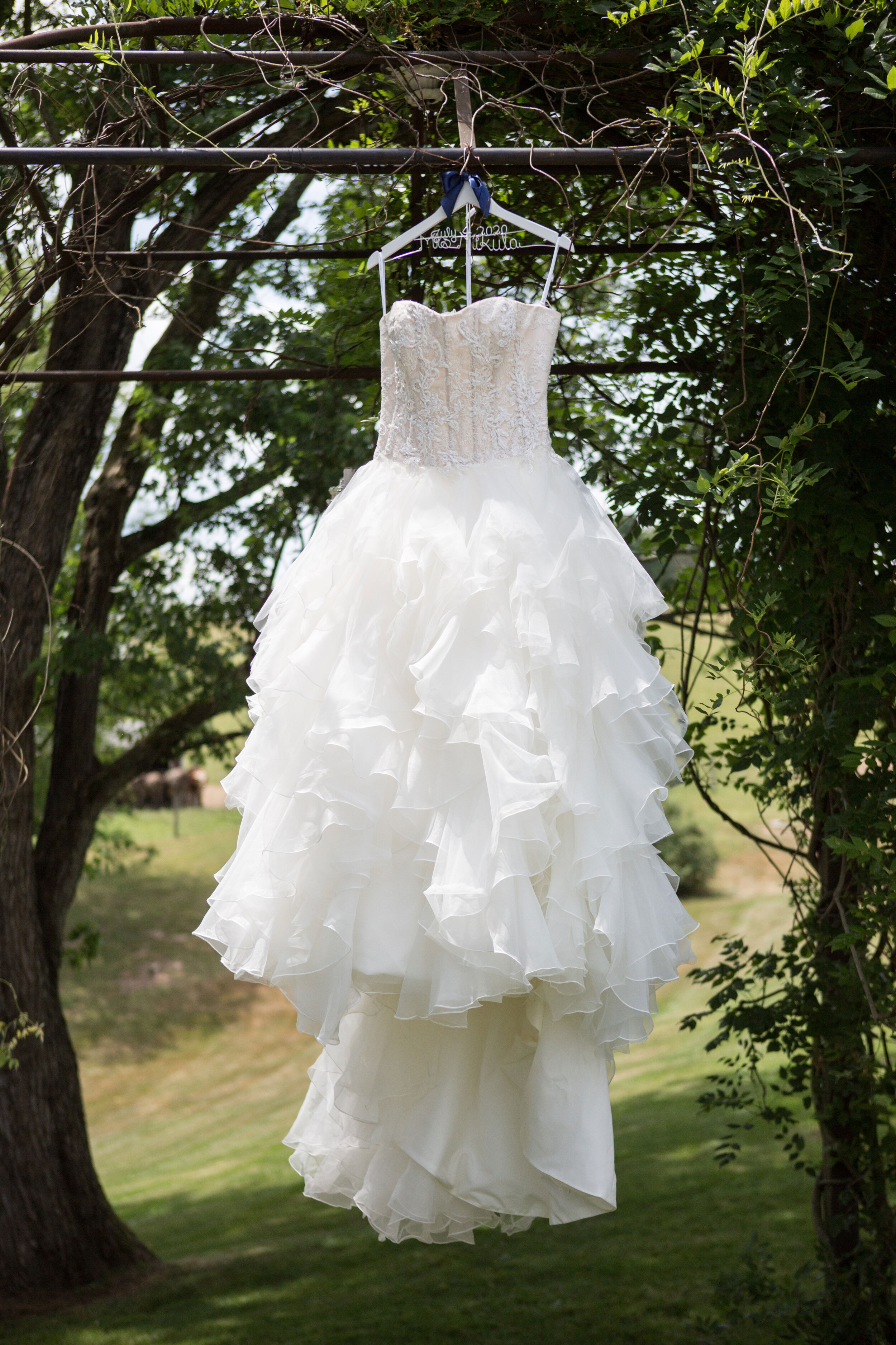 Shady_Elms_Farms_Wedding_Dress.jpeg