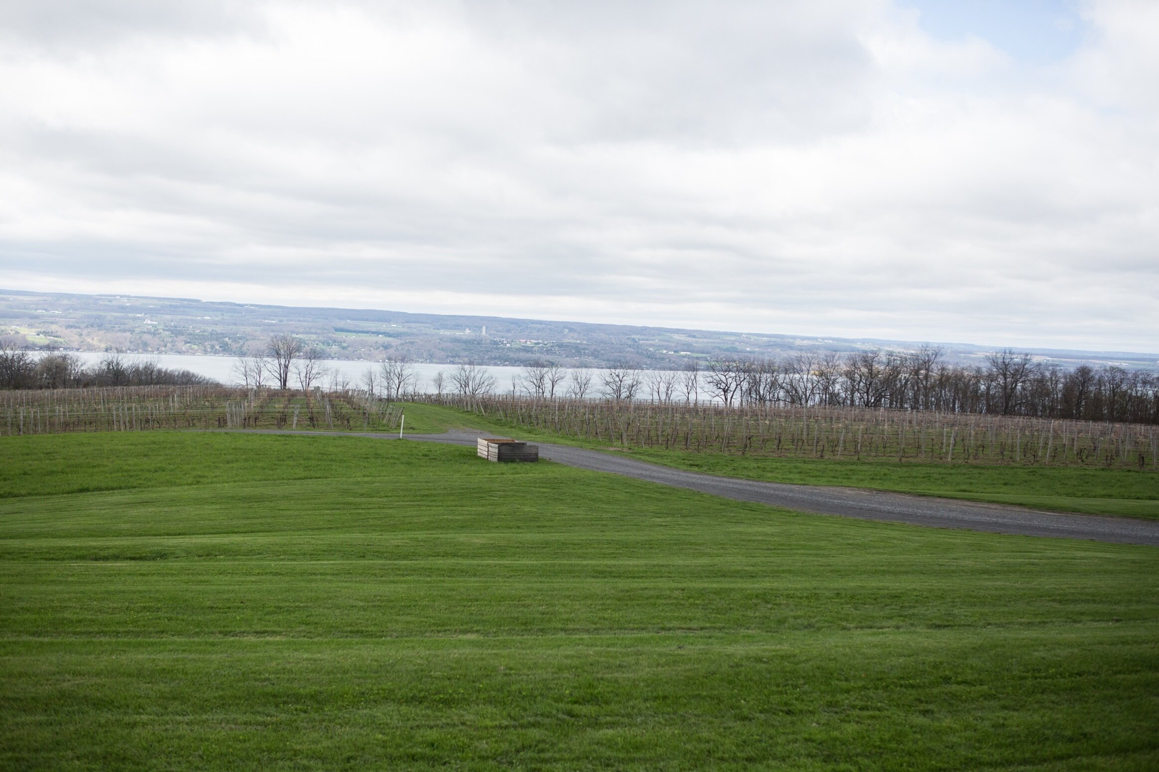 Ashley_Ann_Photography_Finger_Lakes_Watkins_Glen -1-30.jpg