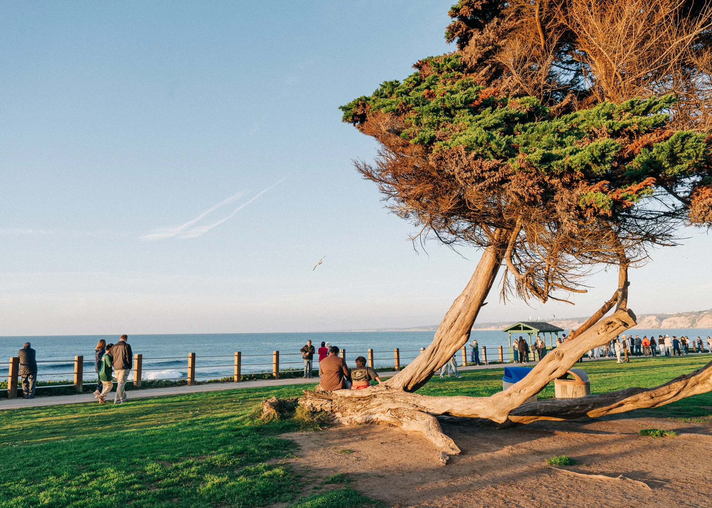 Family walking along the cliffs in La Jolla San Diego at sunset