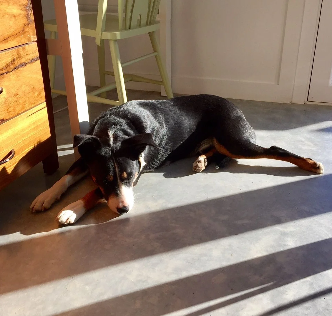 May minimums - the prelude to winter at Jenny's place!