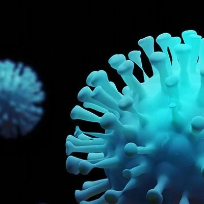 COVID-19 and Light House