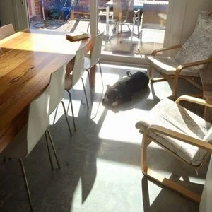 A Tale of Three Winters