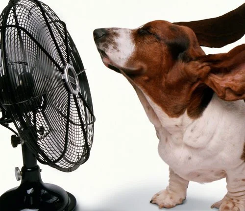 Is your home handling the heat?
