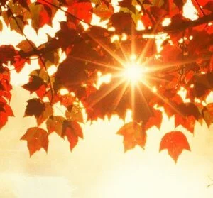 Autumn in Jenny's Light House