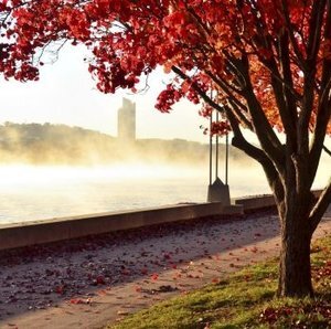 Late wintery-Autumn in Jenny's Light House