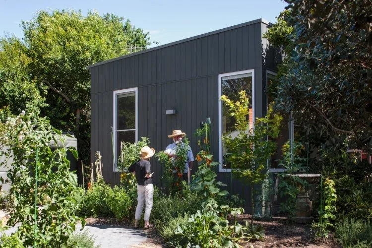 Trees can uproot your plans