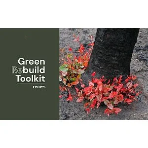 A new resource for fire-affected communities