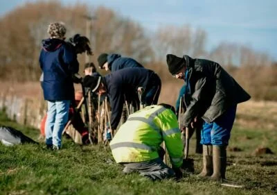 The growing micro-forest trend