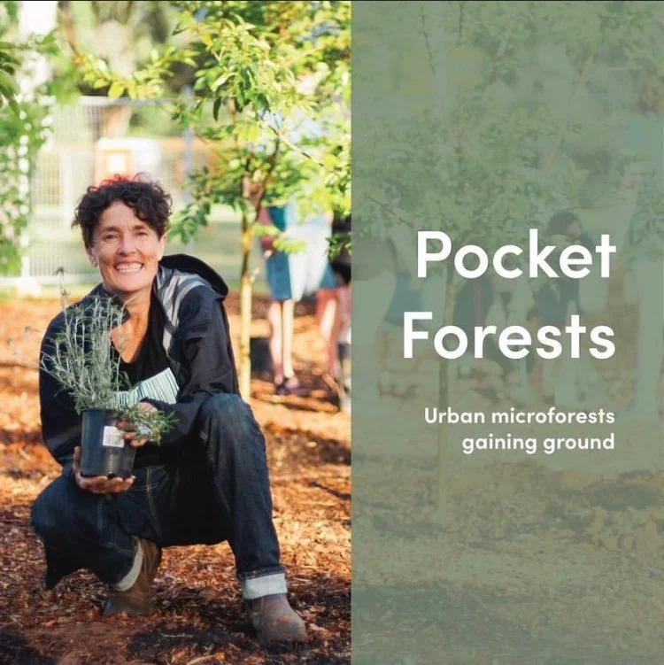 Micro-forests gaining more momentum!