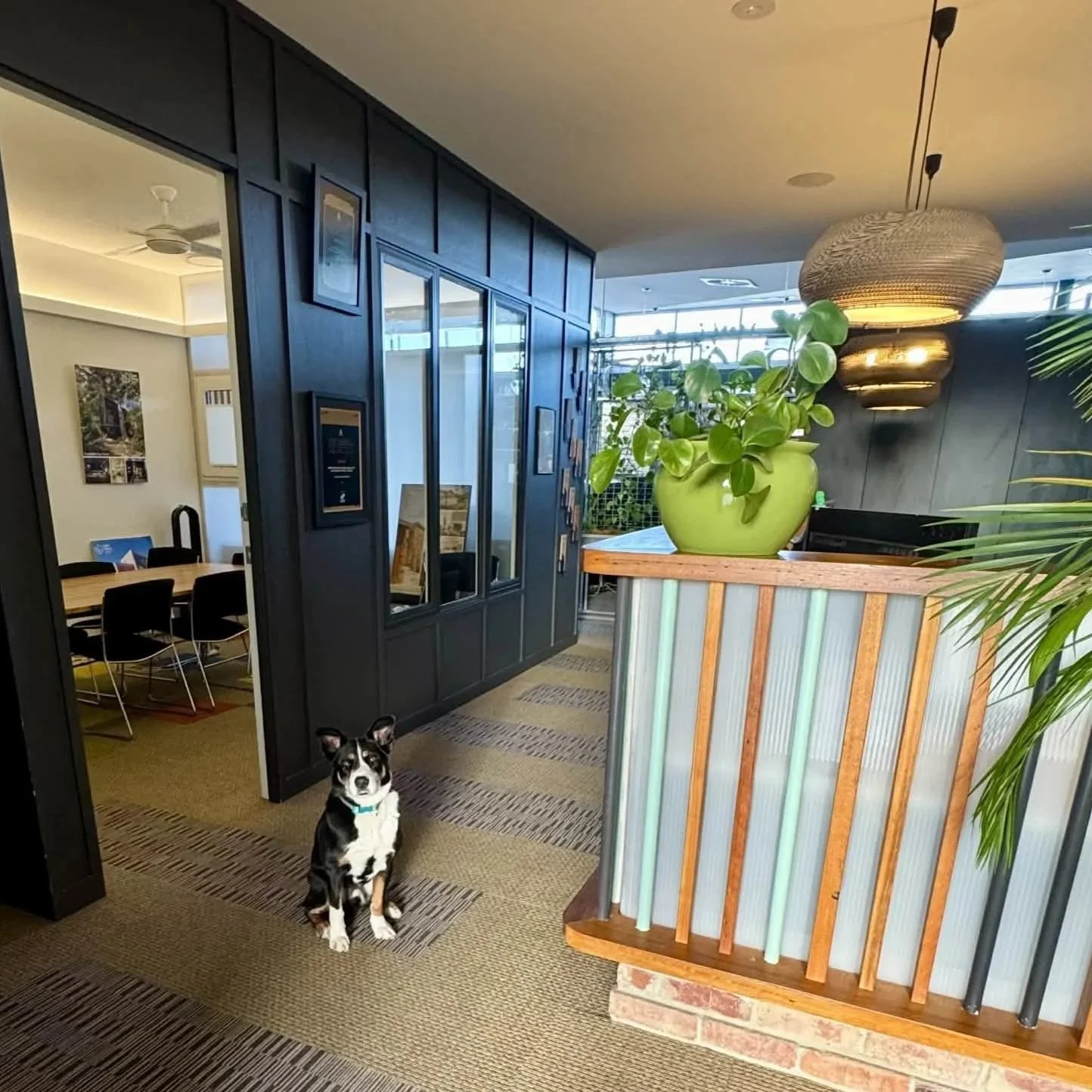 The Light House Office